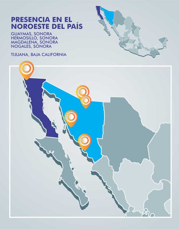 Proyecto Grupo Dunack 13